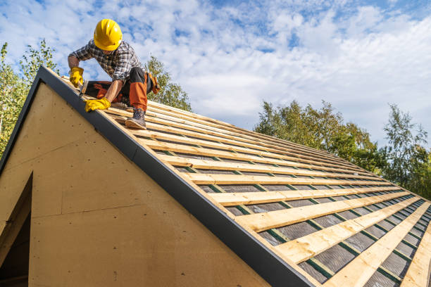Best Roof Gutter Cleaning  in Mulvane, KS